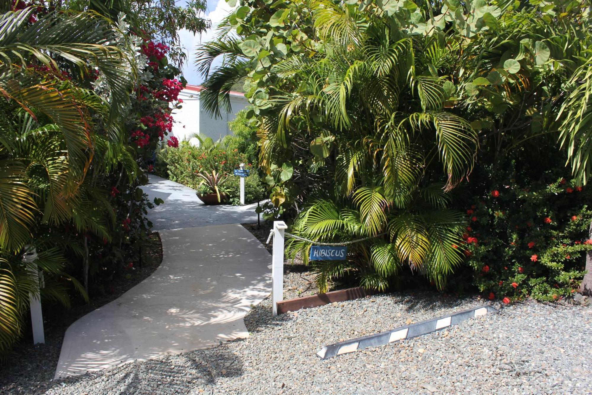 Fantastic Penthouse At Sunset Serenade Suites Cruz Bay Eksteriør billede